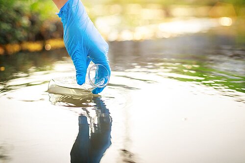 A hand in a plastic glove is using a flask to collect a sample from standing water