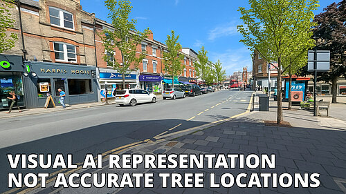 CE Trees
